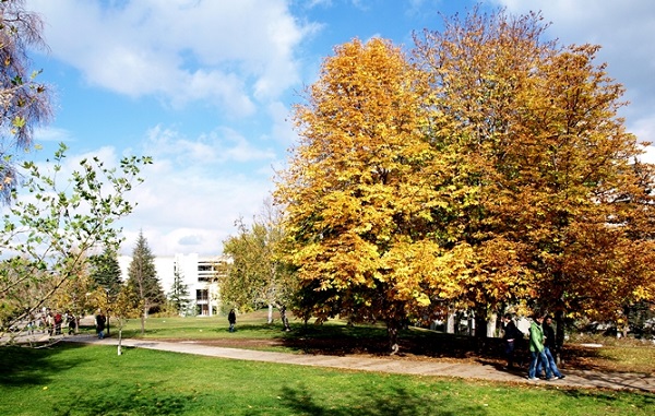 دانشگاه فنی خاورمیانه-مهاجرت به ترکیه-atilabors.com