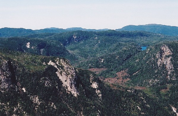 مهاجرت به کبک-آتیلا بورس-atilabors.com